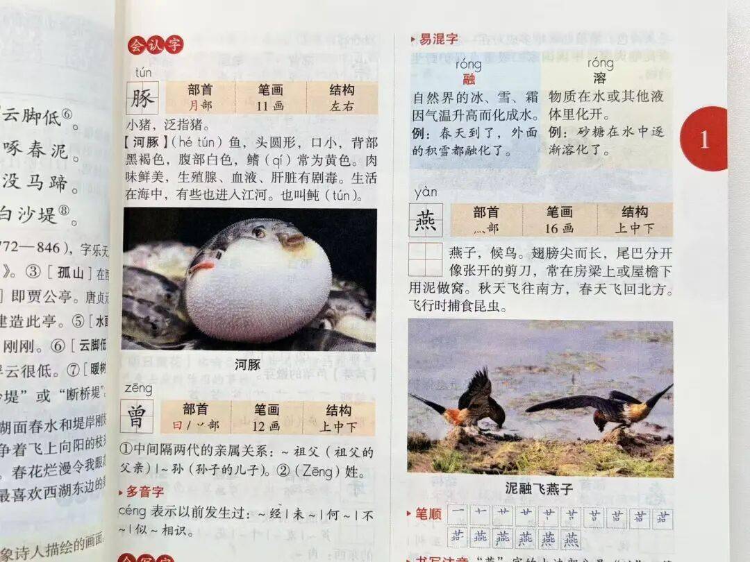 语文进步最快的方式，没有之一