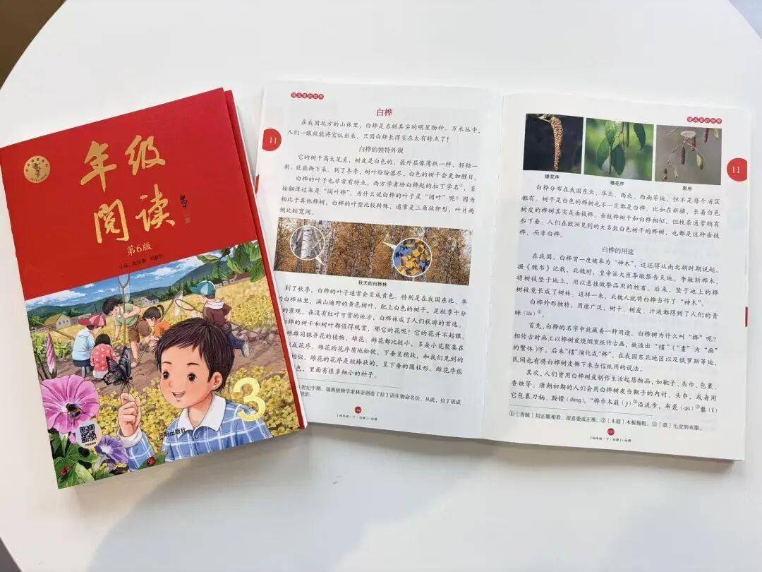 语文进步最快的方式，没有之一