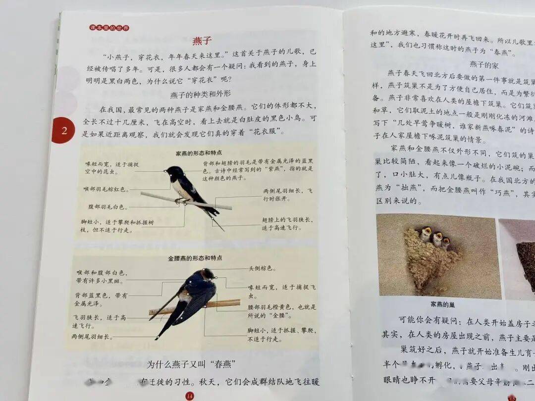 语文进步最快的方式，没有之一